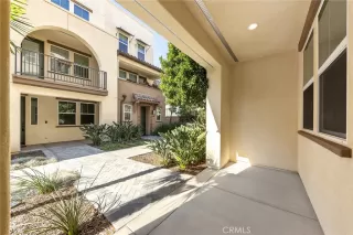 Photo #4: WS25002537 Listing 