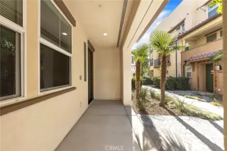 Photo #5: WS25002537 Listing 