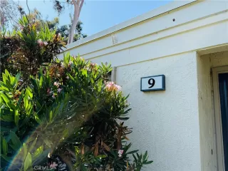 Photo #2: WS25080104 Listing 