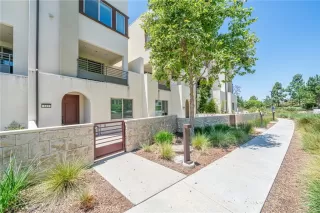 Photo #6: WS25112805 Listing 