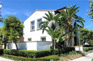 Photo #1: WS25176998 Listing 