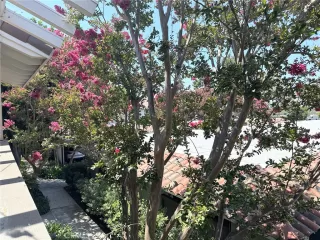 Photo #2: WS25184428 Listing 