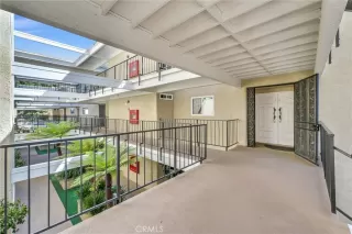 Photo #5: WS25191401 Listing 