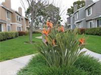 Browse active condo listings in SOMERSET IRVINE
